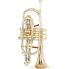 Carol Brass CCR-6882T-GSS-L