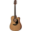 Takamine GD10CE-NS B-Stock