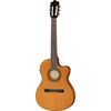Ibanez GA5TCE-AM