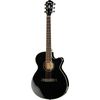 Ibanez AEG10II-BK