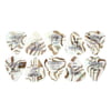 Planet Waves 1CAB4-10 Medium Abalone Picks