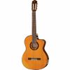 Takamine GC5CE Natural