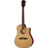 Fender F-1000CE Dreadnought