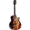 Luna Guitars Vista Mustang LTD