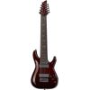 Schecter Hellraiser C-9 BCH