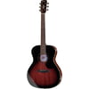 Framus FG-14M VS Legacy Series