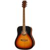Harley Benton D-120VS