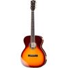 Larson Bros Euphonon 1934 OM Burst