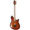 Evh Wolfgang Special TBS