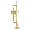 Bach LT190L1B Commercial Bb-Trumpet