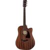 Ibanez AW54CE-OPN