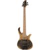 Human Base Jonas 5 Buckeye Burl