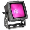 Cameo Flat Pro Flood IP65 TRI
