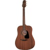 Takamine GD11MNS