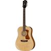 Guild D-140 Nat Westerly