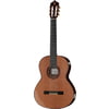 Amalio Burguet Vanessa Cedar