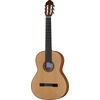 Amalio Burguet Andante Walnut Spruce