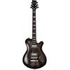 Framus Panthera Supreme Masterbuilt