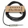 Dean Markley ProMag Professional