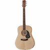 Maton SRS60 w/ Case