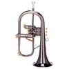Carol Brass CFL-6200-GSS-Bb-BG Blackhawk
