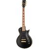 Harley Benton SC-Custom Active VB