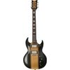 Diamond Guitars Renegade ST Plus BKGS