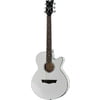 Dean Guitars AXS Performer A/E CW