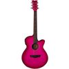 Dean Guitars AXS Performer A/E PB