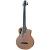 Furch B61-5CM Fretless