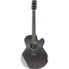 Rainsong CO-WS1000N2 Concert