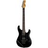 ESP LTD SN-200FR Rosewood BLK