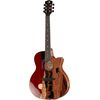Luna Guitars Vista Bear LTD