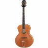 Epiphone Masterbilt Century Zenith NA