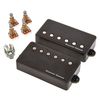 Seymour Duncan Jeff Loomis Blackouts 6S BK