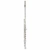 Azumi AZ-Z2RI Flute