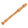 Küng Superio Soprano Recorder 2309