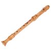 Küng Superio Alto Recorder 2409