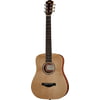 Taylor Baby Taylor BT1