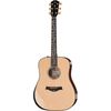 Taylor PS10e