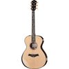Taylor PS12e