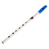 Flageolet D-tuning