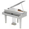 Roland GP-607 PW