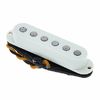 TV Jones Starwood Strat Middle PW