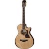 Taylor 812ce 12-Fret DLX