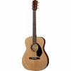 Fender CC-60S Nat