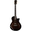 Taylor T5z Custom Makassar LTD