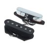 Fender Tex-Mex Telecaster Set