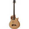 Warwick Alien 4 fretless