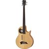 Warwick Alien 5 fretless